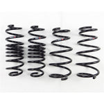 RS-R 2011-2016 Honda CR-Z (ZF1) Down Sus Springs