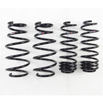 RS-R 09-13 Honda Fit (GE8) Down Sus Springs