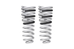 Eibach 4th Gen RAM 2500 Pro Lift Kit HD Rear Springs