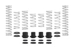 Eibach 2019 Polaris RZR XP 4 Turbo S (Fox Dynamix) Pro-UTV Stage 1 Kit - Set of 8