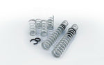 Eibach Pro-UTV 20-22 Polaris RZR Pro XP4 Base/Sport/Premium (Walker Evans) Stg 2 Performance Springs