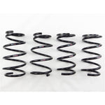 RS-R 2011-2020 Toyota Sienna FF (GSL30) Ti2000 Down Springs