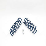 Dinan Performance Spring set for BMW F85 X5M F86 X6M - autotalent
