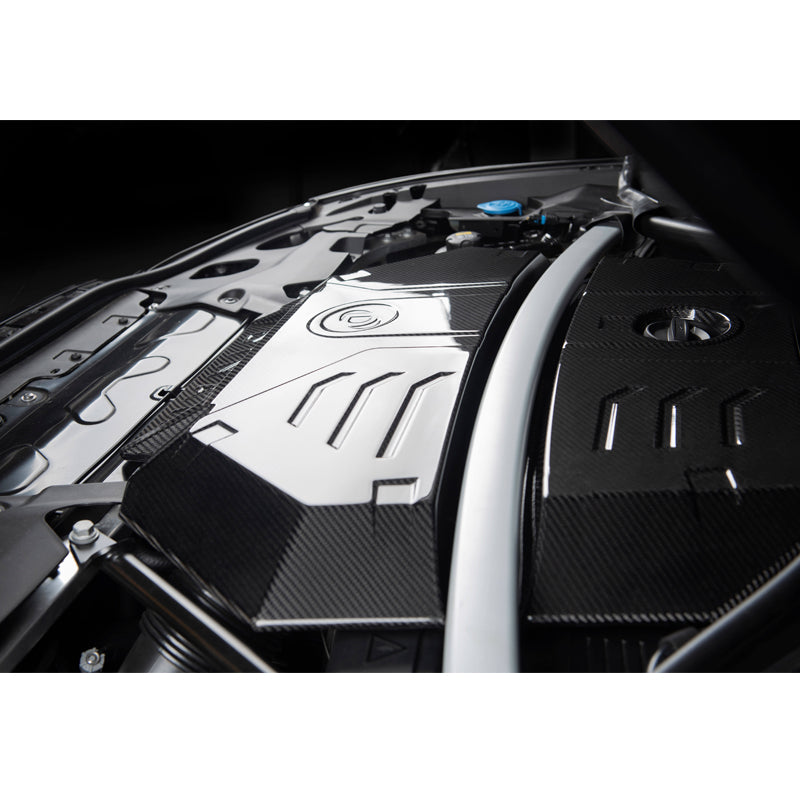 Dinan Carbon Fiber Engine Cover | BMW F97 X3M / F98 X4M 2020-2022