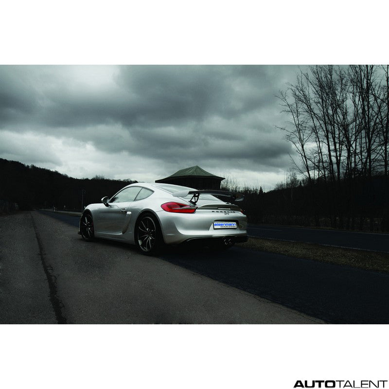 Eisenmann Rear Muffler For Porsche - AutoTalent