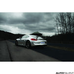 Eisenmann Rear Muffler For Porsche - AutoTalent